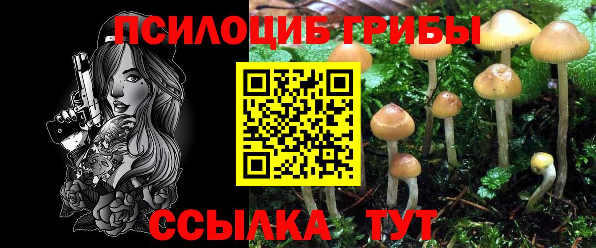 Псилоцибиновые грибы мухоморы Петрозаводск
